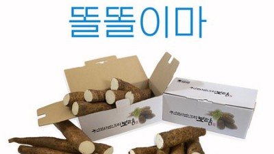 마마미가을🍂 최저가 득템 후기! 나만의 가을룩 완성하기